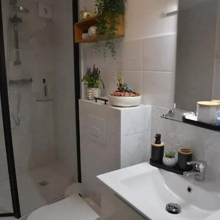 Synae- Joli Classe 3etoiles Avec Terrasse Et Piscine Lejlighed *