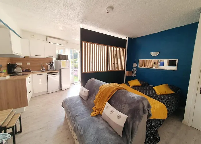 公寓 Le Mas Synae- Joli Studio Classe 3Etoiles Avec Terrasse Et Piscine 圣马克西姆