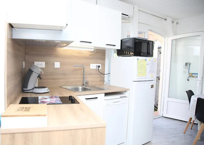 Le Mas Synae- Joli Studio Classe 3Etoiles Avec Terrasse Et Piscine * 圣马克西姆