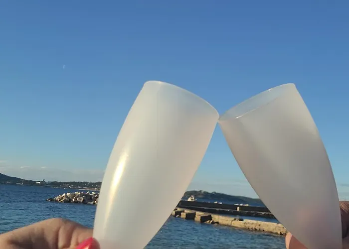 公寓 Le Mas Synae- Joli Studio Classe 3Etoiles Avec Terrasse Et Piscine 圣马克西姆