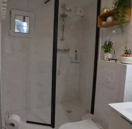 Synae- Joli Classe 3etoiles Avec Terrasse Et Piscine Lejlighed