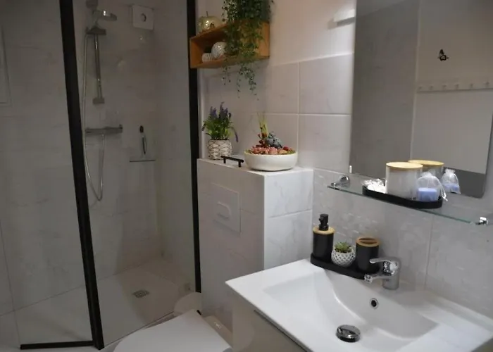 Synae- Joli Classe 3etoiles Avec Terrasse Et Piscine Lejlighed *